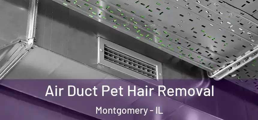  Air Duct Pet Hair Removal Montgomery - IL