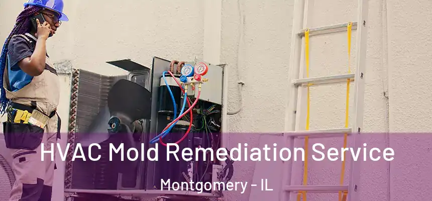  HVAC Mold Remediation Service Montgomery - IL