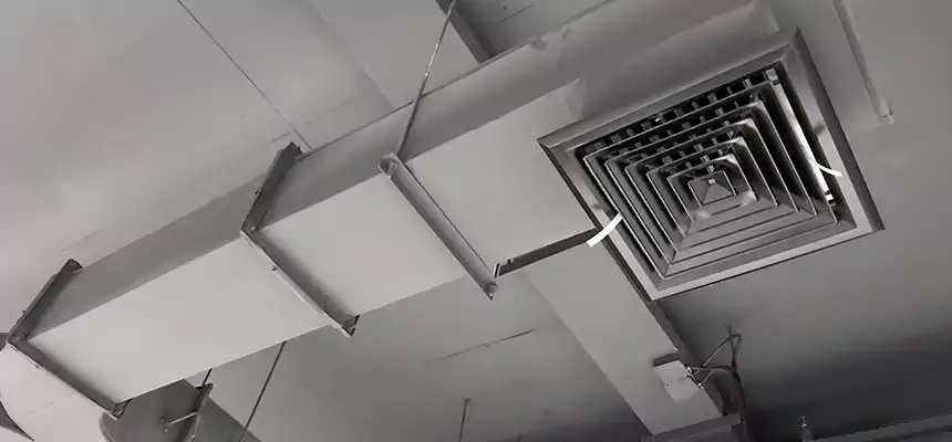 Restorative Allergy Relief Vent Cleaning – Coil, Blower & Housing Detail in Montgomery