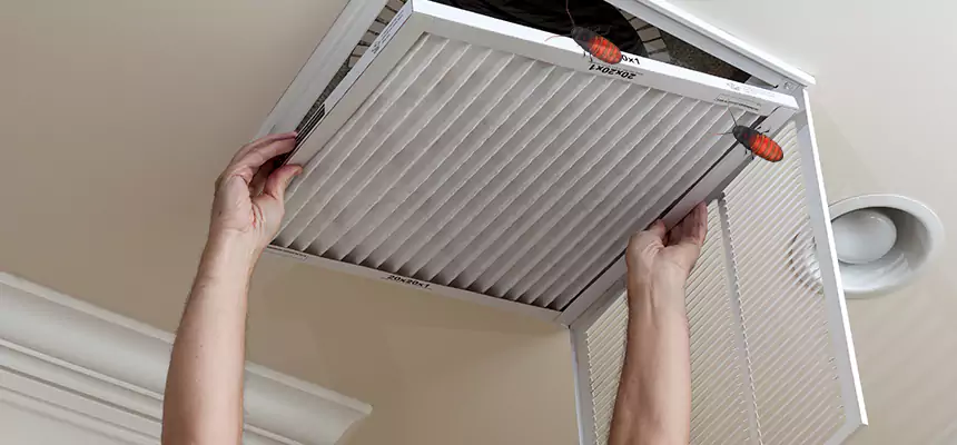 Our Insect Removal from Air Ducts Services in Montgomery, IL