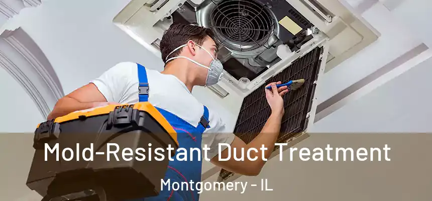  Mold-Resistant Duct Treatment Montgomery - IL