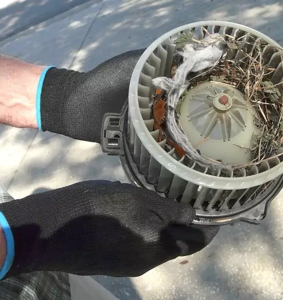 About Air Duct Mice Removal in Montgomery, IL