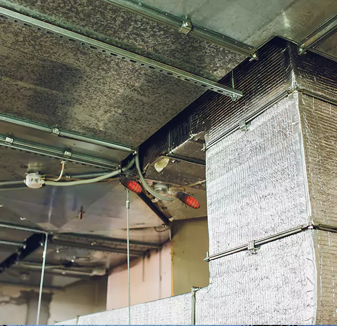 Why Homeowners & Businesses Trust Us in Montgomery, IL?